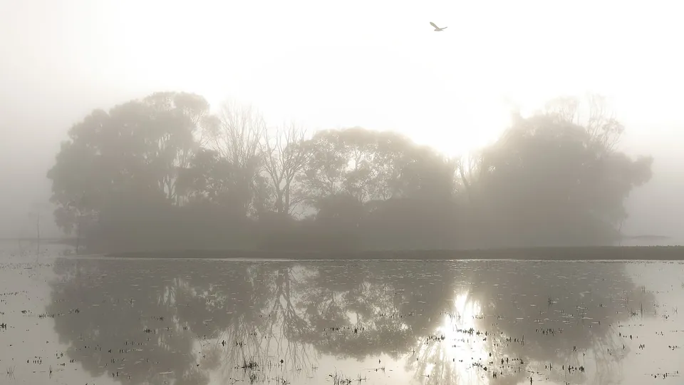 Nebliger, grauer Wintermorgen über einem See